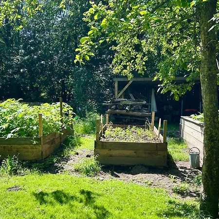 شقة Dachgeschosswohnung Warft Simmerdeis In Reetdachhaus Mit Parkaehnlichem Garten *