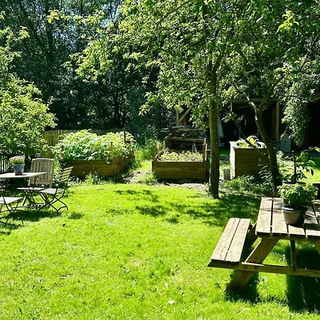 Dachgeschosswohnung Warft Simmerdeis In Reetdachhaus Mit Parkaehnlichem Garten * Oldenswort