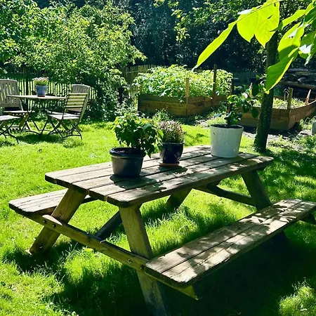Dachgeschosswohnung Warft Simmerdeis In Reetdachhaus Mit Parkaehnlichem Garten شقة